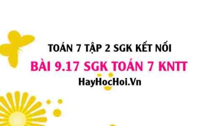 Bài 9.17 SGK Toán 7 Tập 2 Kết nối tri thức